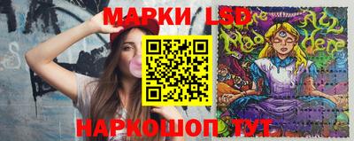 PSILOCYBIN Заводоуковск