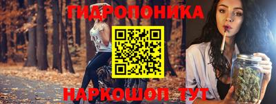 PSILOCYBIN Заводоуковск