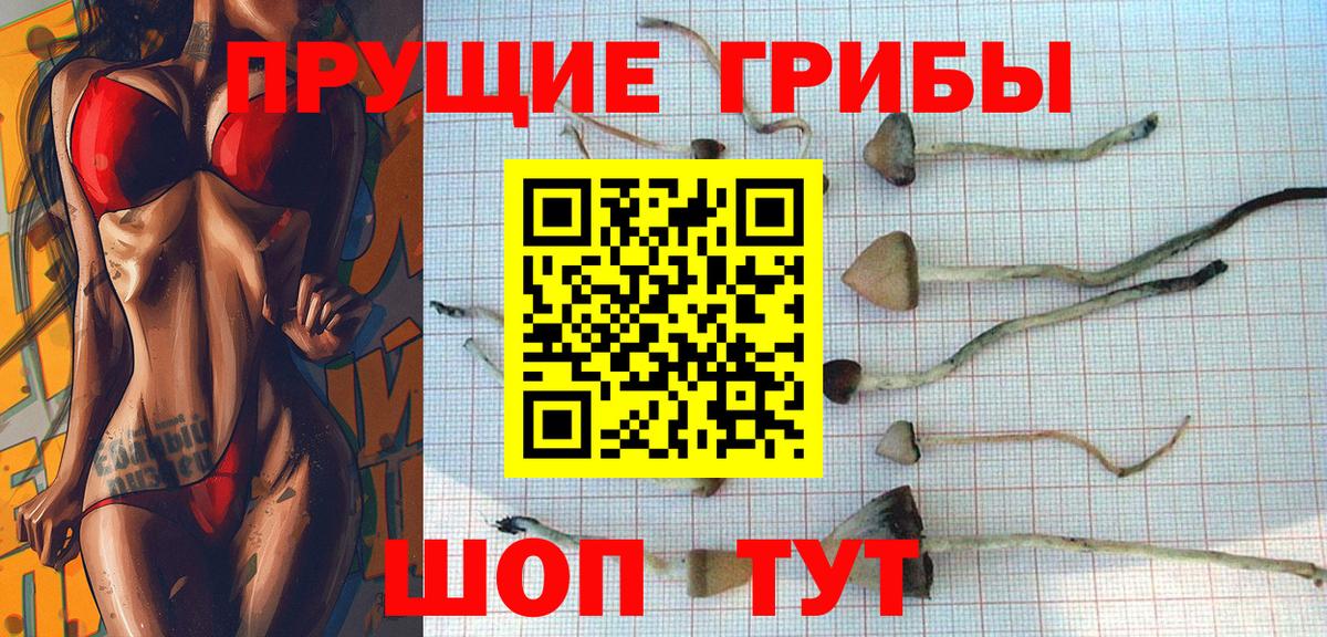 Галлюциногенные грибы ЛСД  Вход с VPN  Псилоцибиновые грибы MAGIC MUSHROOMS  Магадан 