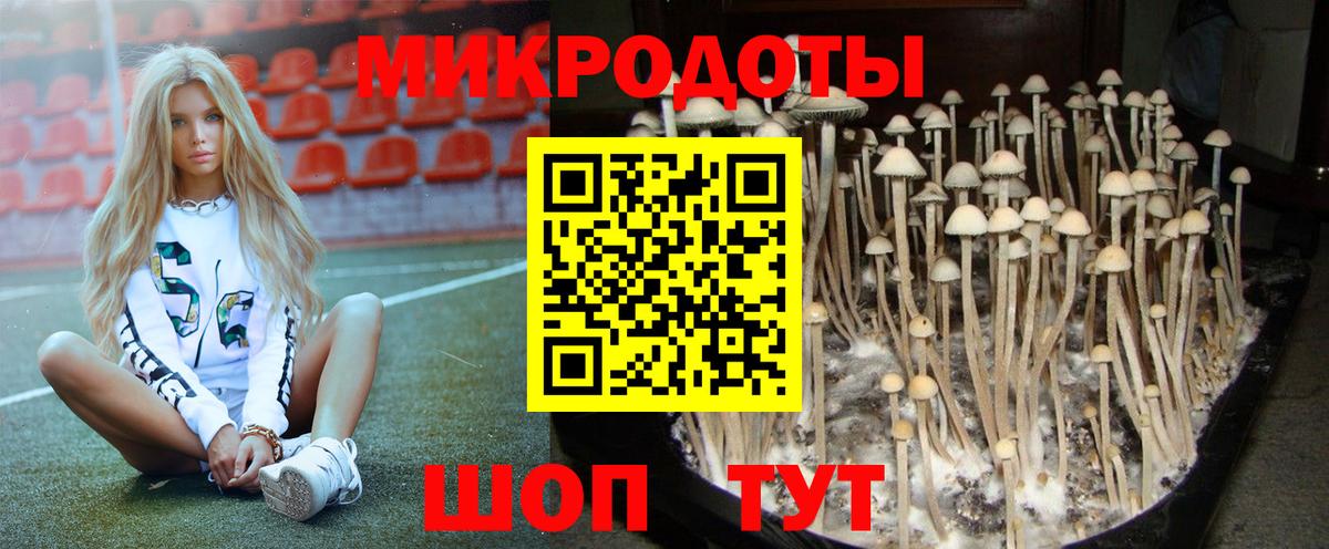 Галлюциногенные грибы MAGIC MUSHROOMS Магадан